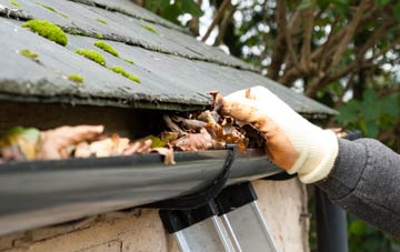 gutter cleaning Bonnington Smiddy, Angus